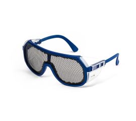Wire Mesh Spectacles