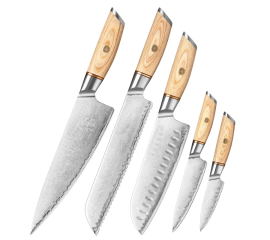 Soshida Japanese 5-Piece Chef Knife Set