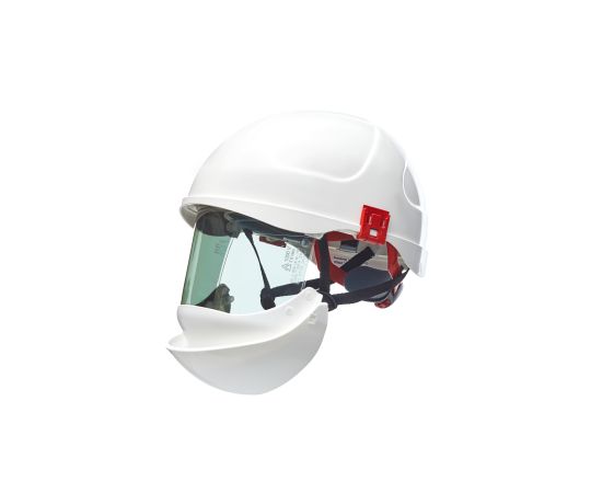 28 Cal Arc Ergos Intec Helmet
