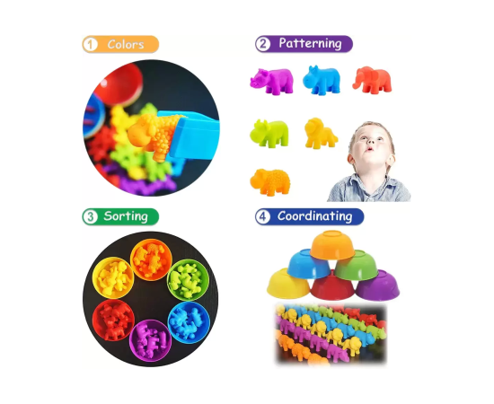 Montessori Colour & Counting Game