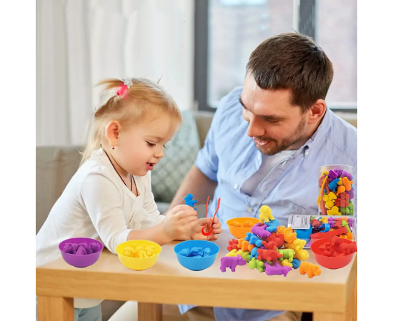 Montessori Colour & Counting Game